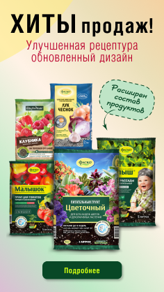 Специальное предложение