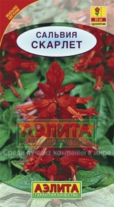 Семена цветов сальвия сверкающая Скарлет ц/п 0,1г Аэлита