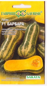 Семена Тыква Барбара F1, мускатная 5 шт Гавриш