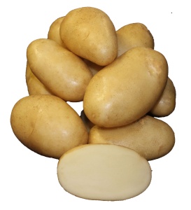 Картофель семенной Ариэль 30-55мм суперэлита 2кг