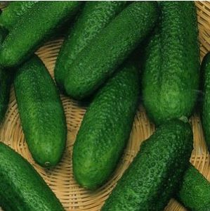 Семена огурец Герман F1 7шт Агроуспех