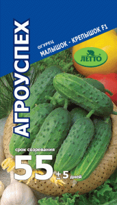 Семена огурец Малышок-Крепышок F1 10шт Агроуспех