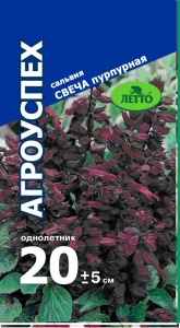 Семена цветов сальвия Свеча F1 пурпурная 10шт Агроуспех