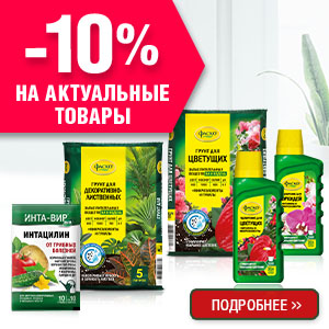 -10% на актуальный ассортимент!