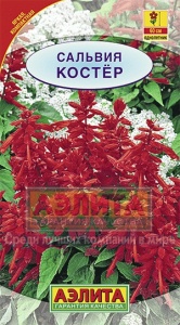 Семена цветов сальвия Костер ц/п 0,1г Аэлита