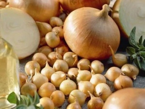 Лук-севок Румба F1 14-21мм 0,5кг