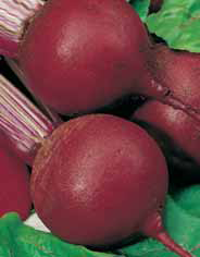 Семена свекла Пабло Ранняя F1 0,5г Агроуспех