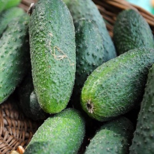 Семена огурец Ухажер F1 Авторские 1+1 20шт Гавриш