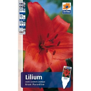 Луковица Лилия Гран Парадисо 3шт/уп