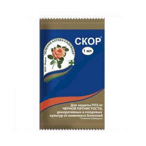 Фунгицид ЗАС Скор для роз от черной пятнистости ампула 1мл (шт)