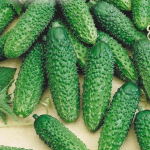 Семена огурец Пикник пикуль F1 Авторские 1+1 20шт Гавриш