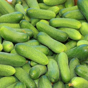 Семена огурец Луховицкий корнишон F1 Авторские 1+1 20шт Гавриш