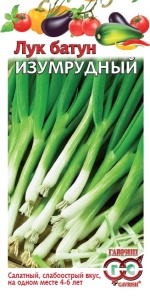 Семена лук батун Изумрудный 0,5г Гавриш