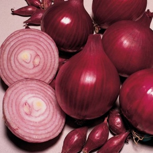 Лук-севок Ред Барон 10-21мм красный 0,5кг