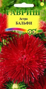 Семена цветов астра Бальфи игольчатая темно-розовая 0,3г Гавриш