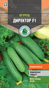 Семена Tim/огурец Директор F1 ран.парт (Голландия) 4шт
