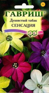 Семена цветов табак Сенсация крылатый смесь окрасок 0,05г Гавриш