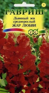 Семена цветов львиный зев Жар любви 0,1г Гавриш