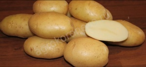 Картофель семенной Крепыш СуперЭлита 2кг Коренево