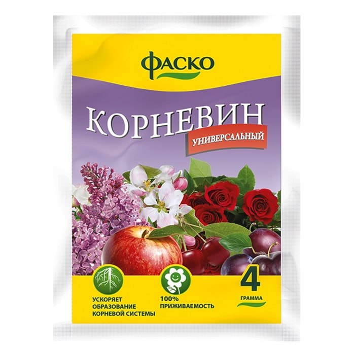 Корневин Фаско 4г