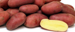 Картофель семенной Ред Скарлетт 30-55мм суперэлита 2кг