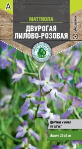 Семена цветы маттиола двурогая Лилово-розовая Тимпит 0,5г
