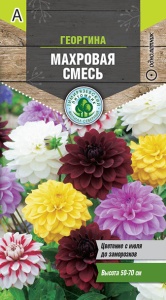 Семена цветы георгина Махровая смесь Тимпит 0,2г