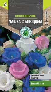 Семена цветы колокольчик Чашка с блюдцем смесь Тимпит 0,1г