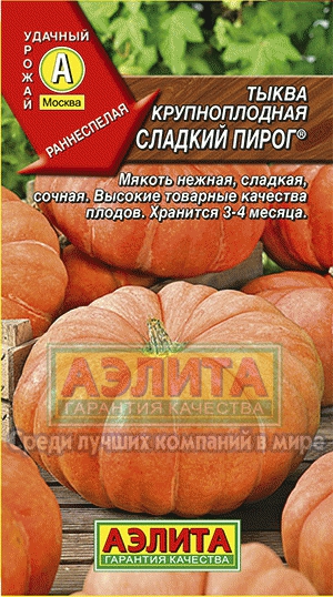 Семена тыква Сладкий пирог крупноплодная 1г Аэлита