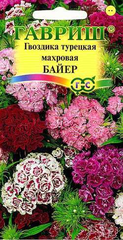 Семена цветов гвоздика турецкая Байер махровая смесь 0,2г Гавриш