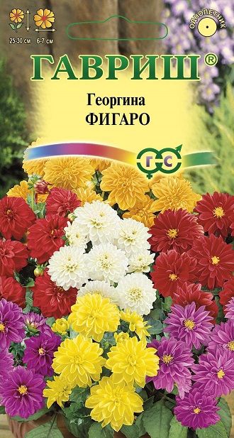 Семена цветов георгина Фигаро 10шт Гавриш