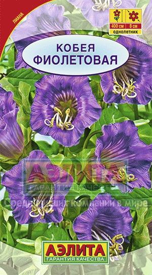 Семена цветов кобея фиолетовая ц/п 0,45г Аэлита
