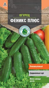 Семена огурец Феникс плюс среднераннеспелый Тимпит 0,5г