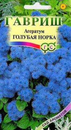 Семена цветов агератум Голубая норка Сад ароматов 0,1г Гавриш