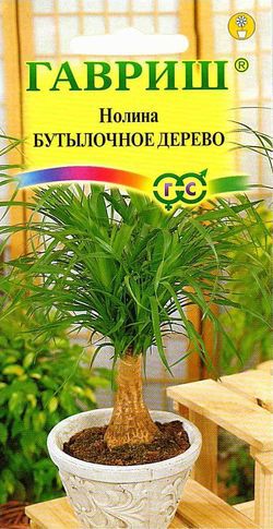 Семена цветов нолина Бутылочное дерево 3шт Гавриш