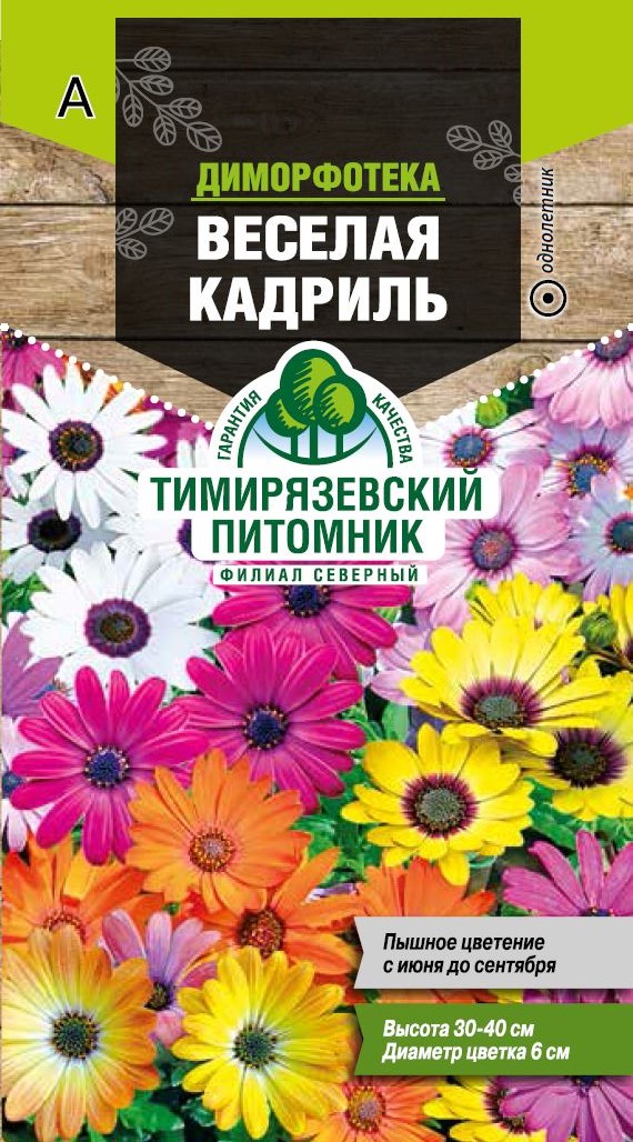 Диморфотека – выращивание из семян, виды и фото цветов