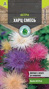 Семена цветы Астра Харц смесь Тимпит 0,2г