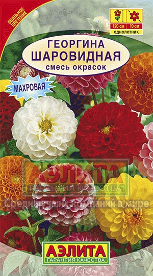 Семена цветов георгина Шаровидная смесь окрасок ц/п 0,2г Аэлита