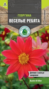 Семена цветы георгина Веселые ребята Тимпит 0,2г
