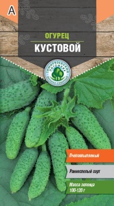 Семена огурец Кустовой раннеспелый пчел Тимпит 0,3г