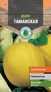 Семена дыня Таманская ранняя Тимпит 0,5г