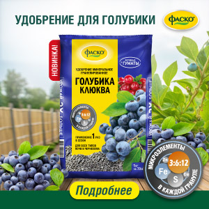 Новинка – Удобрение Фаско 5М для голубики