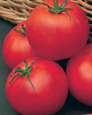 Семена томат Джина 0,1г Агроуспех