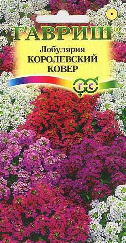 Семена цветов лобулярия Королевский ковер Сад ароматов 0,1г Гавриш