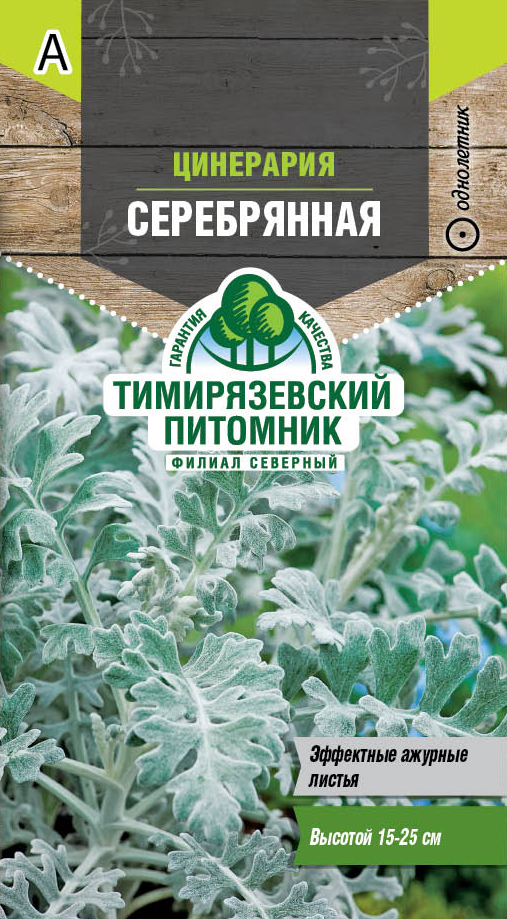 Семена Tim/цветы цинерария Серебрянная 0,05г
