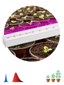 Фитосветильник Эра светодиодный линейный красно-синего спектра 60см 9Вт