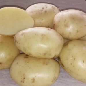 Картофель семенной Флагман суперэлита 2кг