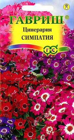 Семена цветов цинерария Симпатия цветущая 8шт Гавриш