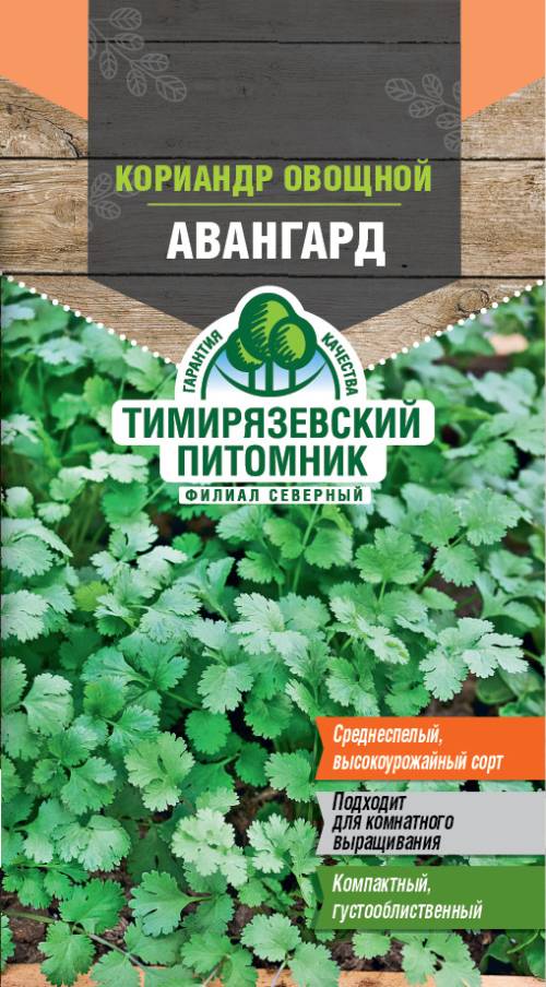Семена кориандр Авангард Тимпит 1г