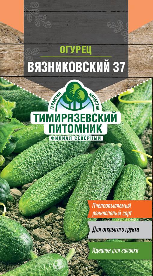 Семена огурец Вязниковский 37 Тимпит 0,5г